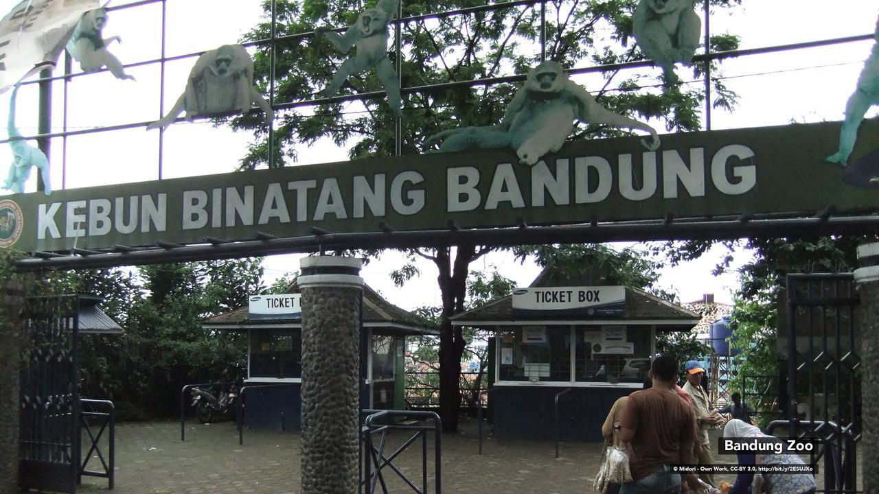 Zen Rooms Bukit Tunggul Bandung Extérieur photo
